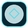 Selected currency icon